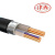 津西 铜芯铠装交联电力电缆（ZR/ZC）五芯  YJV22 (单位：米) 5X1.5
