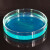 海斯迪克 HKC-207 加厚玻璃培养皿 高硼硅细胞培养皿平皿 120mm(10个) 