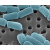47mmPCTE纳米模板塑料微颗粒聚碳酸酯滤膜0.01-30um孔径 47mm 14.0um 1片超薄 探索计划资