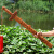 正宗肥城桃木剑护身挂件道士木雕摆件小孩儿童随身客厅工艺品 1.2米双龙剑