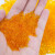 冰禹 BYA-278 变色硅胶颗粒干燥剂 实验室指示剂 除湿防潮干燥剂 橙色5瓶