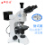 定制睿鸿正交上下偏光显微镜带补偿镜检偏器 可金相显微镜可测量 显微镜微分干涉(DIC)
