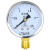 SYCIF Y-60 径向压力表水压气压油压指针式真空镀锌黄铜压力表 Y60 0~2.5MPa(25公斤)