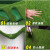 德银 仿真草坪地毯人工假草皮人造塑料幼儿园户外足球场阳台铺绿色草垫 2.0cm春草加密款