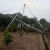 铝合金三角架立杆机人字抱杆电力扒杆三角扒杆水泥杆起杆器8-15米 立12米立杆机120*4