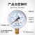 HKNA仪表空压机压力表Y-60径向普通气压表气泵1.6mpa水压表 0-0.25mpa