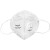 霍尼韦尔（Honeywell）口罩 KN95 H950V防尘耳带折叠式带阀 防雾霾口罩 25只/盒 定制