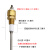 锅炉水位探针测针液位控制传感器探头电极江心盛田蒸汽发生器配件 单极G1/4(二分)螺纹直径1.3厘米