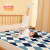 彩虹（RAINBOW） 彩虹电热毯学生宿舍电褥子电热垫酒店 家用电暖毯高温自动断电 D1518L-47-A(1.8x1.5m)