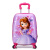 儿童拉杆箱可爱男女孩童卡通小学生幼儿园小型行李箱旅行箱万向轮 （粉色）精灵猫 16英寸