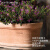 青野园艺家DEROMA帝罗马意大利伊特鲁里亚粗陶土绿植北欧艺术花盆 伊特碗形 28cm