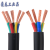 国标电线电缆三相四线RVV4芯5芯1 1.5 2.5 4 6平方铜芯软护套线 (3+2)5芯4平方10米