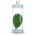 玻璃标本瓶加厚标本缸植物样品瓶展示瓶病理瓶福尔马林液浸泡瓶 45*180mm高硼硅约220ml