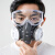 安爽利（ASL）防尘口罩面具透气工业粉尘灰尘全面罩打磨煤矿喷漆甲醛工作面具