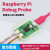 Raspberry Pi Debug Probe树莓派USB调试serial ARM SWDuart Raspberry Pi Pico H + Deb