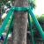 SMVP镀锌钢管树木支撑架 金属铁抱箍固定器 园林绿化防风大树撑杆 1.5米绿色32管三脚