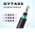 防鼠重铠装光缆GYTA53-12B1单模4/8/16/24/36/48/96芯直地埋光纤 GYTA53-48芯