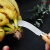 超锋利不锈钢菠萝刀水果刀小刀小弯刀香蕉刀水果刀削皮刀 短水果刀 一把装
