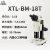 彼爱姆 XTL-BM-18T 体视显微镜 1 XTL-BM-18T 1-3天 