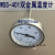 上海天湖WSS-401 403双金属温度计 水温表径向工业锅炉管道温度表 任意温度  探头L=200MM