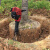 御舵(四代挖沟2铲套)多功能镐移树机小型起树机专用机挖树起苗机土球挖坑机剪板A51