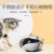 EBO Air机器人家庭可移动监控老人小孩宠物AI智能玩伴WiFi网络手机实时摄像头激光逗宠猫玩具 EBO AIR家庭守护机器人