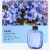 百步达 V01 自动喷香机配套香水1瓶（可备注香型）