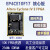 EP4CE6/EP4CE10 FPGA 邮票孔核心板 开发板 工业级小梅哥 AC601 一体型开发板 核心板贴片到底板 EP4CE10商业级C8