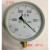 红旗 Y-100仪表压力真空表Z-100Z-60-0.1-0MPA压力表负压   单位：个 表盘直径60MM -0.1-+0.15MPA