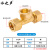 水之声 铝塑管接头配件6分太阳能黄铜接头1620水管件接头阀门 1620*6分铝塑内丝三通