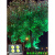 led七彩变色投光灯园林绿化别墅草坪景观灯rgb彩色照树户外射灯  布洛克 七彩RGB变光100W(双孔)