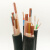 铜芯电缆线YJV VV22 电缆3 4芯16 35 70 50平方工程电力电缆 WDZYJY国标一米 2芯 2.5平方毫米