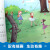 5本20元】安徒生童话格林童话全集原版 小学版儿童课外阅读书 一年级二年级三年级四年级1-6年纪课外阅读少儿版绘本 暑期推荐阅读 童年