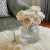 欧式冰川纹ins风透明玻璃花瓶水培玫瑰干花鲜花大口花瓶客厅摆件米囹 组合-冰川两件套