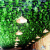 谋福（CNMF）仿真葡萄叶花藤条 吊顶装饰缠绕绿植塑料葡萄花藤蔓(36片葡萄藤条12条装)