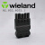 Wieland威琅 黑色GST18 插头 连接器 92.953.4053.1母头 1 PCS