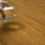 斯图（sitoo）PVC地板革自粘仿木纹地板加厚防水耐磨防滑耐磨环保办公家用地板 灰橡木7片装（1平方）