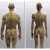 人体骨骼模型 男女一组 雕塑艺用人体肌肉骨骼解剖模型美术医 男皮女皮树脂土黄