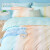 博洋（BEYOND） 博洋家纺 四件套纯棉被套床单枕套简约全棉床品套件双人床被罩被单 飞鸟之境 1.8米床(被套220x240cm)