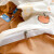 南极人迪士尼水洗棉床上四件套儿童卡通床品被套床单学生单人宿舍件套三 奇奇蒂蒂【亲肤舒适 适合裸睡】 2.0m床单款四件套-被套220x240cm