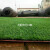 人造仿真草坪绿色围挡地毯草楼顶幼儿园操场庭院足球场运动草 定制 3厘米出口型网格 50平一卷