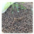 QCDD茶叶种籽绿茶正山小种种类正宗早春龙井碧罗春白茶红茶籽茶树种子 福鼎白茶种子/一斤