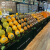 纸板可移动阶梯式陈列货架水果店中岛便携超市展示架多层纸质台阶 防滑垫（黑色）1.5x20米