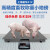 上海耀华A12高精度畜牧称重小地磅称猪称牛畜牧农业专用电子定制 1.2x1.2m 无围栏