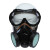 山头林村防毒面具口罩防有毒气体全面罩620075026800全脸防护面具防尘口罩 6200面罩一套