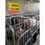 养殖重地警示牌闲人免进提示安全标识牌养猪重地鱼塘小龙虾培育基 YZC023-PVC塑料板 30x40cm