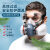 LISM防毒面具喷漆舒适模型BJD消光漆专用呼吸防护罩全脸防尘面罩 升级款硅胶防尘毒面具+防雾风镜