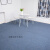 定制办公室地毯商用PVC拼接方块客厅台球厅水泥地隔音地垫大面积工业品 zx浅蓝色加强型 50*50cm1块沥青底