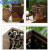 蓝鲸环卫 小号基础无配件 摇盖式木质复古木纹中式垃圾桶LJHW-9020