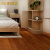 圣象B地板多层实木复合木地板5平米环保地暖原木色卧室客厅地板 山核桃 5平米【安装+辅料】